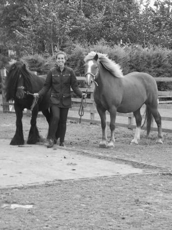 hayley and her horses
